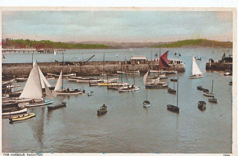Devon Postcard - The Harbour - Paignton    A3258