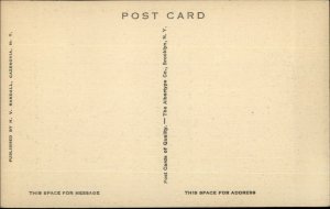 Cazenovia NY Mrs. Charles Fairchild Home c1920s Postcard