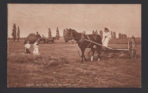 Come Out and Help Me Make Hay - Ladies in Field Racking Hay - Horses ~ DB