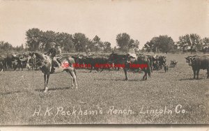 NE, Brady, Nebraska, RPPC, Herman K Peckham's Lincoln County Ranch, Cows