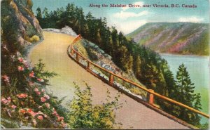 Along the Malahat Drive near Victoria BC Unused Coast Pub. Co Postcard G30