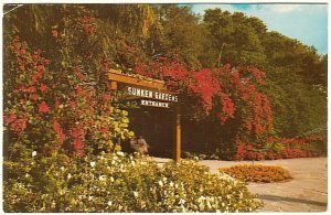 Main Entrance, Sunken Gardens Of St Petersburg ,Florida, 1978 Chrome Postcard
