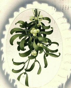 1907-15 Meissner Buch Christmas Postcard Vintage Embossed Antique Floral  