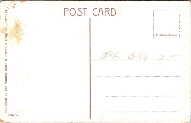 Oleander Drive Bermunda Postcard UNP Unused Yankee VTG Vintage 