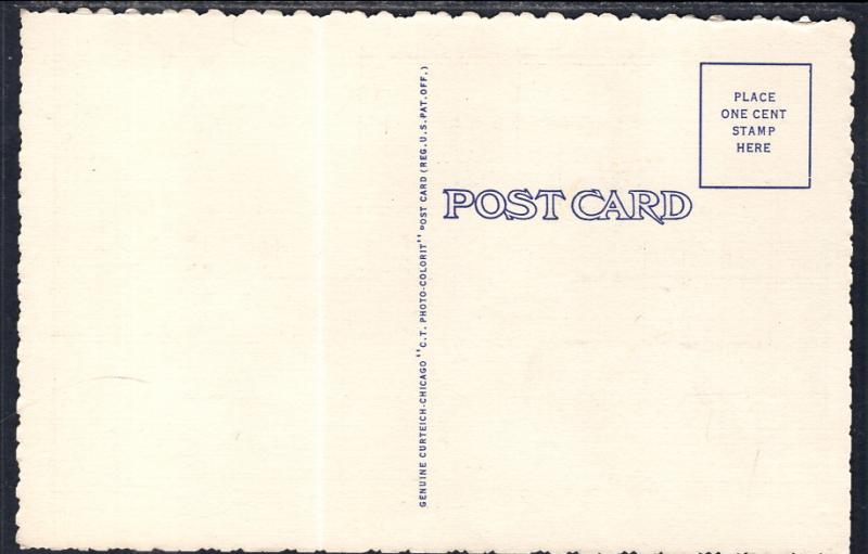 Roosevelt Lion Group,Smithsonian Institution,Washington,DC