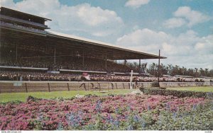 MIAMI, Florida, 50-60s ; Beautiful Hialeah Park, Horseracing