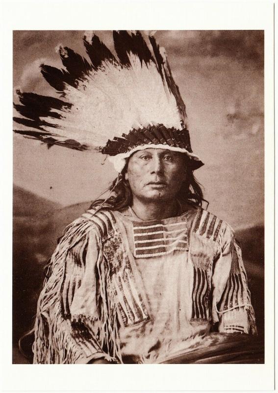 Gall Hunkpapa Lakota Sioux Chief Native American Modern Postcard