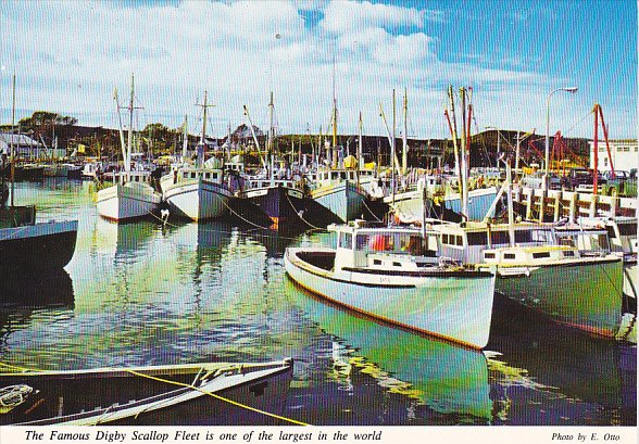 Canada Famous Digby Scallop Fleet Nova Scotia