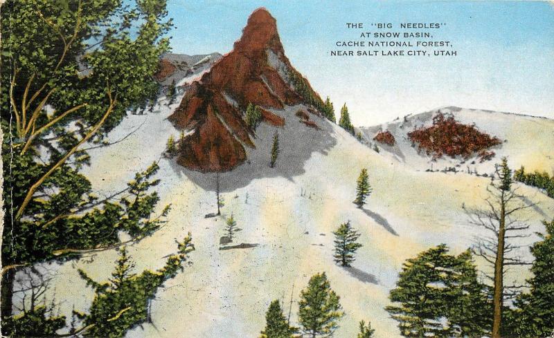 Linen Postcard Big Needles at Snow Basin Cache Nat'l Forest by Salt Lake City UT