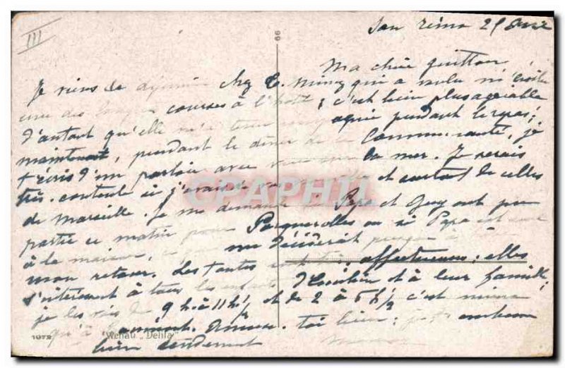 Old Postcard Cat Cats Kitten