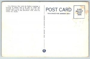 Native American  Buffalo Medicine Man  Postcard