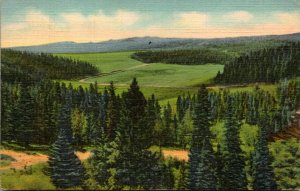 Wyoming Bighorn Mountains Meadows and Wooded Hills At The Summit 1941 Curteich