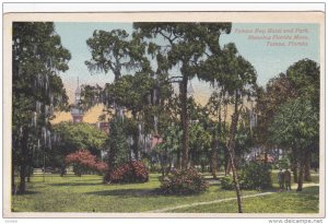 Tampa Bay Hotel And Park, Showing Florida Moss, TAMPA, Florida, 1910-1920s