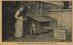 Butcher Knife & Dog Sausages Kennel Dogs Old Comic Postcard