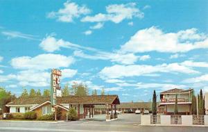 Palo Alto California Sky Ranch Motel Street View Vintage Postcard K69606