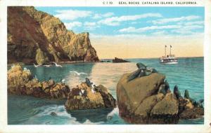 USA Seal Rocks Catalina Island California Vintage Postcard 01.62