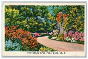 1937 Scenic View Road Trees Flowers Greetings Pine Bush New York Posted Postcard