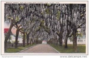 Mississippi Biloxi Benachi Avenue With Its Famed Moss Covered Oaks