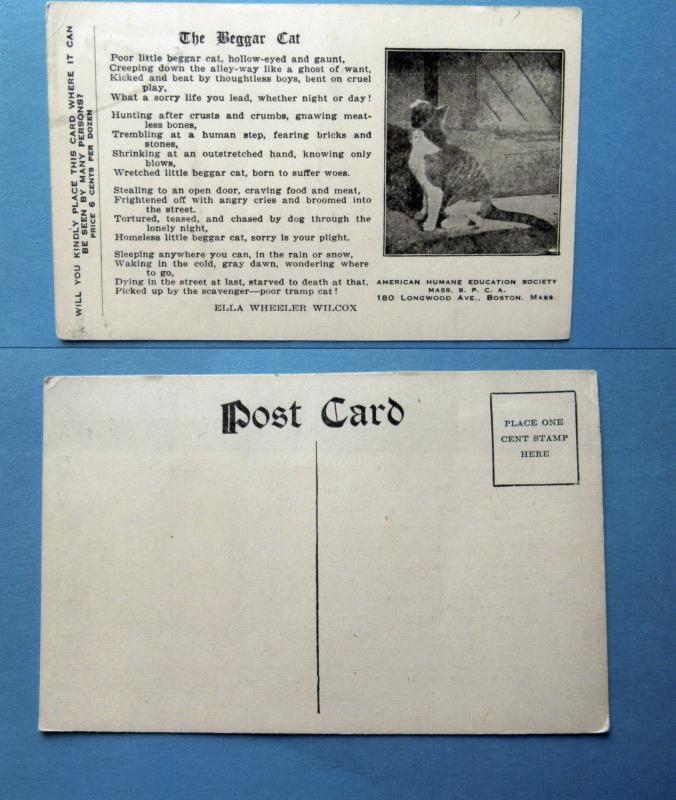 The Beggar Cat Vintage Postcard Unused American Humane Society SPCA