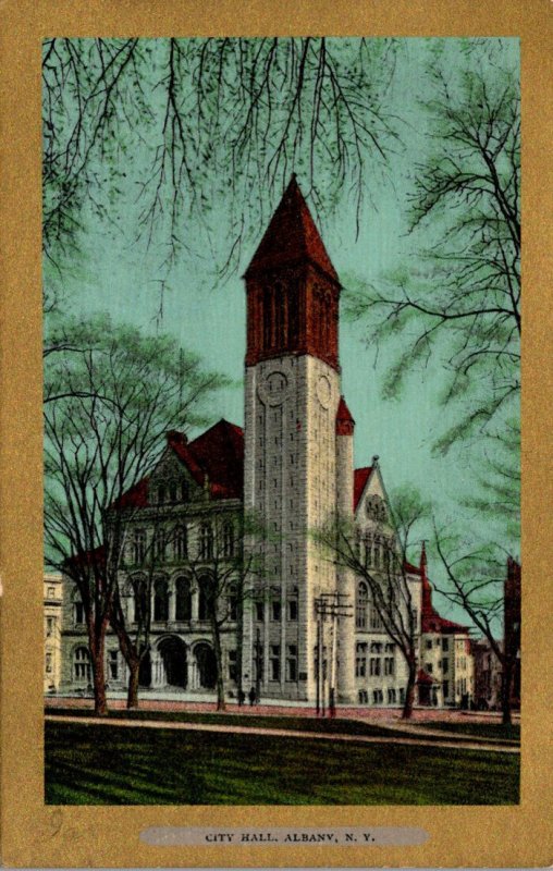 New York Albany Showing City Hall 1907