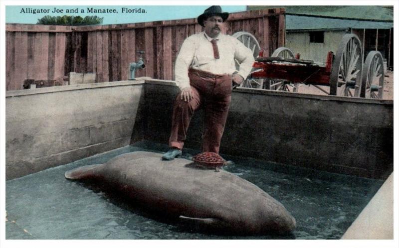 16093   Alligator Joe and a Manatee Exhibit