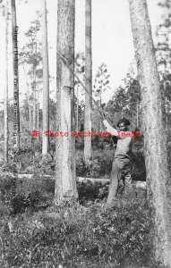 Black Americana, RPPC, Chipping Yellow Pine for Turpentine,Green Cove Springs FL