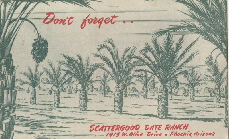 PHOENIX , Arizona , 1930s ; Scattergood Date Ranch