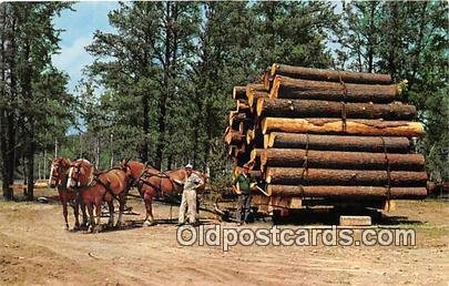 Four Horse Team, Load of Logs Hayward, Wisconsin, USA Unused 