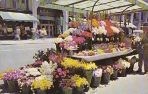 California San Francisco Sidewalk Flower Stands