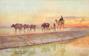 Evening on Nile Camel Cattle Sheep Egypt 1910c Tuck postcard