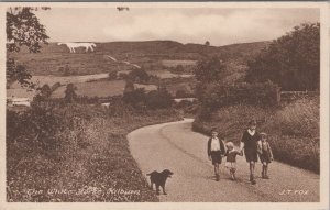 Yorkshire Postcard - Kilburn, The White Horse   RS39070