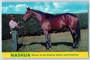 c1960 Lexington Kentucky Postcard Nashua Winner Belmont Stakes Spendthrift Farm