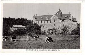 Real Photo, Cows, St Augustine's Monastery, Nova Scotia, Cows