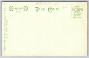 Salem New Jersey~Walnut Street Homes & Church~Tree Lined~c1910 Postcard