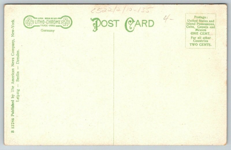 Salem New Jersey~Walnut Street Homes & Church~Tree Lined~c1910 Postcard