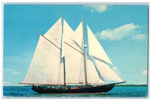 c1960's Bluenose II Sailboat Nova Scotia Canada Vintage Unposted Postcard