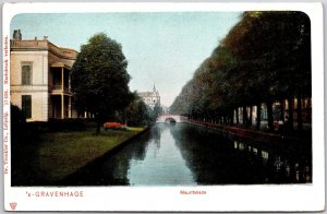 Gravenhage Mauritskade Netherlands Lined-Trees River & Building Postcard