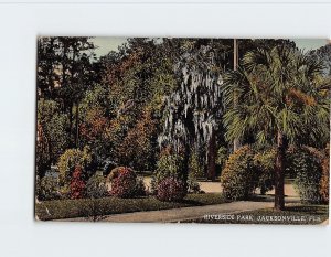 Postcard Riverside Park, Jacksonville, Florida