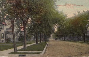 Postcard Elmer Avenue Looking North Sayre PA