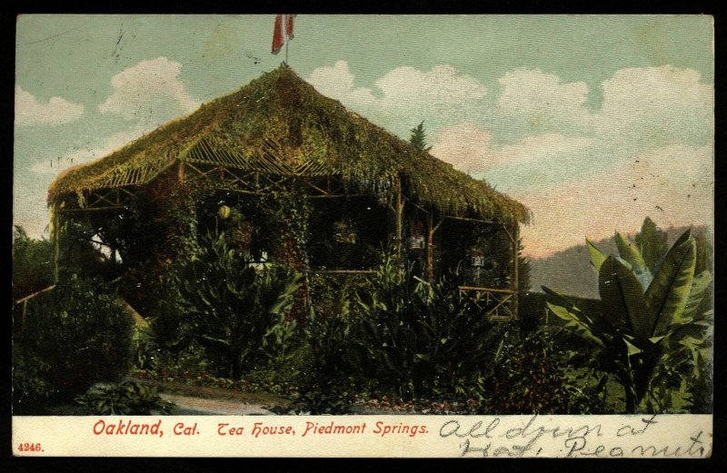 Oakland California Vintage RPPC tea House Piedmot Springs