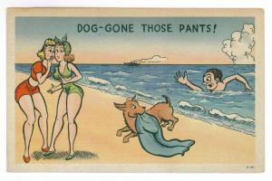 Dog - Gone Those Pants ! unused Linen Postcard