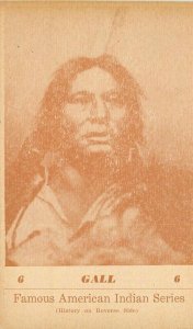 Native American Indian 1941 Gall Famous American Indian Series Postcard 21-14387