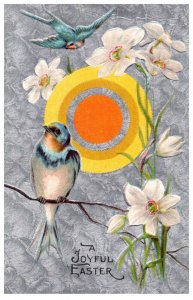 Easter Bluebird, Yellow Circle Orange Center