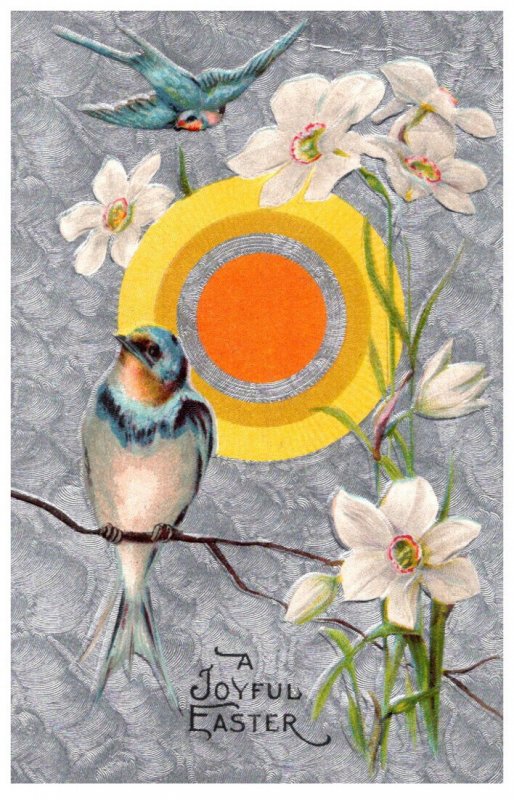 Easter Bluebird, Yellow Circle Orange Center