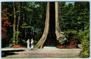 c1920s Unposted Vancouver British Columbia Can Big Tree Postcard Rare No Car A23