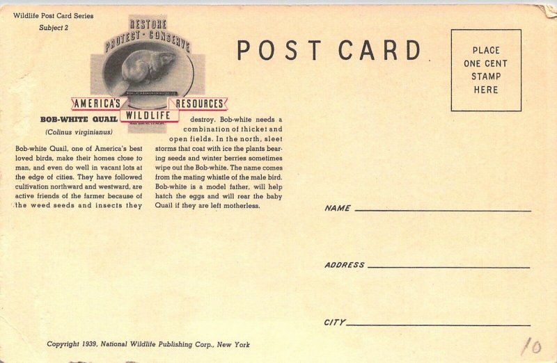 c.1939, Beautiful Birds, Bob-White Quail,Signed Art, US Publ, Old Postcard