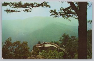 State View~Air View Overlook Terrace On Pinnacle~Cumberland Gap~Vintage Postcard