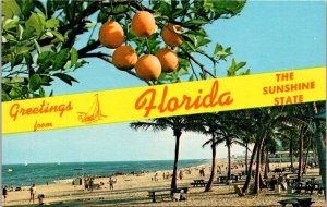 Greetings From The Sunshine State Florida Split View
