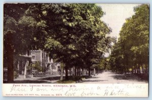 1906 Park Avenue Looking North Residential Area Trees Kenosha Wisconsin Postcard