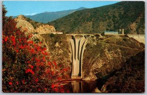 Vtg California CA Los Angeles County Morris Dam National Forest 1950s Postcard